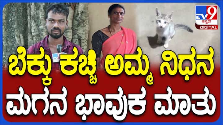 ಶಿವಮೊಗ್ಗ: ಮನೆಯಲ್ಲಿ ಸಾಕಿದ್ದ ಬೆಕ್ಕು ಅಮ್ಮನನ್ನ ಬಲಿ ತಗೊಳ್ತು; ಮಗನ ಅಳಲು ಶಿವಮೊಗ್ಗ: ಮನೆಯಲ್ಲಿ ಸಾಕಿದ್ದ ಬೆಕ್ಕು ಅಮ್ಮನನ್ನ ಬಲಿ ತಗೊಳ್ತು; ಮಗನ ಅಳಲು