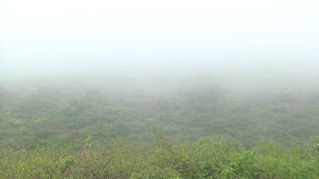 Lots of tourists arriving to beautiful view point Chitradurga Jogimatti forest area