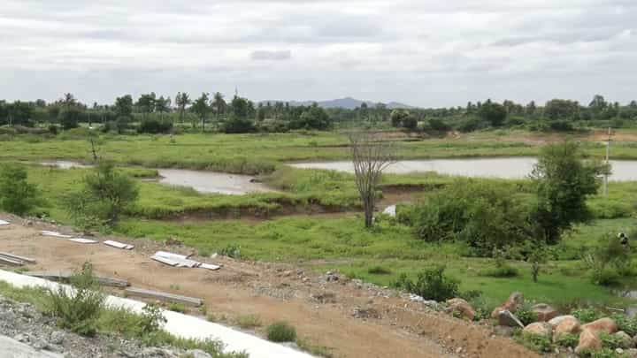 ಕೆಜಿಎಫ್ ಚಿನ್ನದ ಗಣಿಗೆ ಬಿಬಿಎಂಪಿ ಕಸ! 300 ಎಕರೆ ಜಾಗ ಗುರುತು ಮಾಡಿದ ಕೋಲಾರ ಜಿಲ್ಲಾಡಳಿತ ಕೆಜಿಎಫ್ ಚಿನ್ನದ ಗಣಿಗೆ ಬಿಬಿಎಂಪಿ ಕಸ! 300 ಎಕರೆ ಜಾಗ ಗುರುತು ಮಾಡಿದ ಕೋಲಾರ ಜಿಲ್ಲಾಡಳಿತ