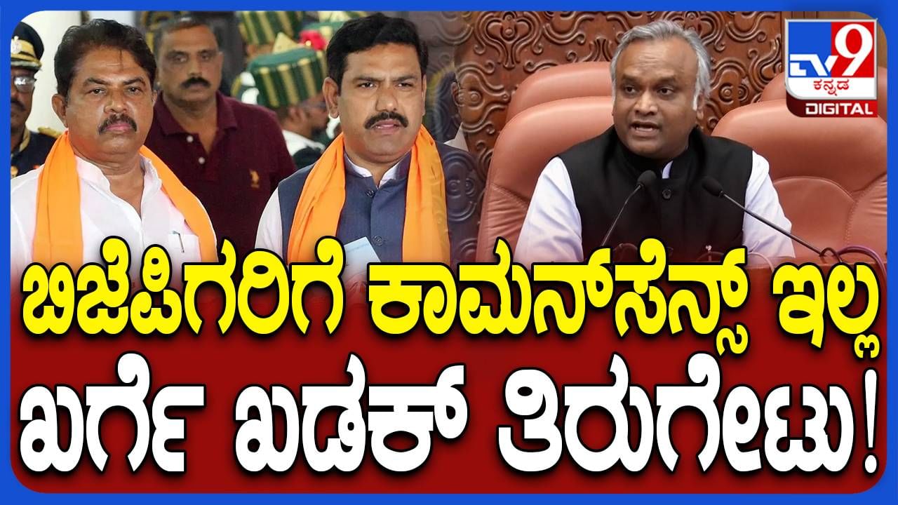 ಬಿಜೆಪಿ ನಾಯಕರು ವಿಷಯದ ಮೇಲೆ ಪ್ರಶ್ನೆ ಕೇಳಿದರೆ ಉತ್ತರ ಕೊಡಬಹುದು: ಪ್ರಿಯಾಂಕ್ ಖರ್ಗೆ