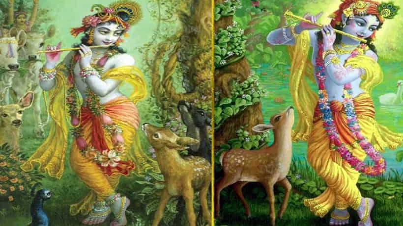 Krishna Janmashtami 2024: ಜನ್ಮಾಷ್ಟಮಿಯ ಮೊದಲು ಈ ವಸ್ತುಗಳನ್ನು ಮನೆಗೆ ತನ್ನಿ, ಶ್ರೀಕೃಷ್ಣನ ಆಶೀರ್ವಾದ ಲಭಿಸುತ್ತದೆ