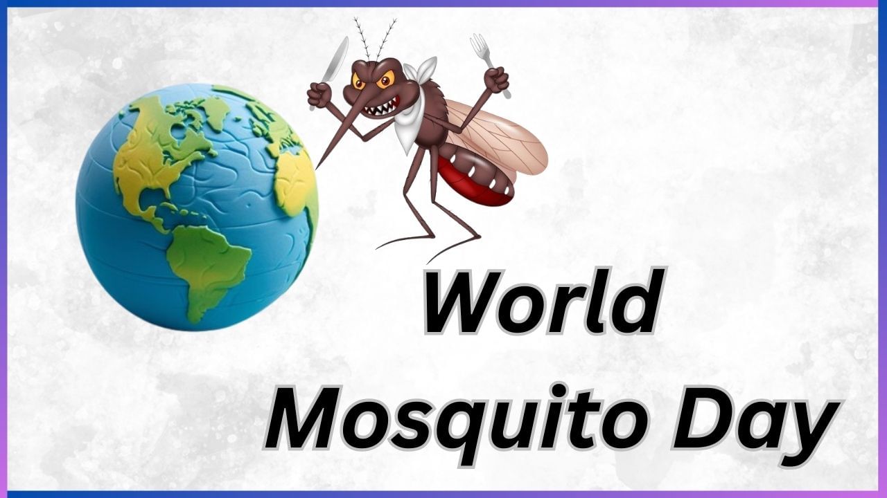 World Mosquito Day 2024 : ಸೊಳ್ಳೆಗಳು ನಿಮ್ಮನ್ನೇ ಪದೇ ಪದೇ ಕಚ್ಚುತ್ತಿದೆಯೇ, ಇದೆ ಕಾರಣವಂತೆ