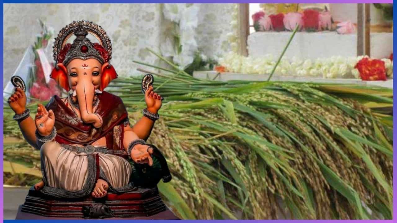 Ganesha Chaturti 2024 : ಕರಾವಳಿಯಲ್ಲಿ ಪ್ರಕೃತಿಯ ಜೊತೆಗೆ ಬೆಸೆದ ಗಣೇಶನ ಹಬ್ಬ, ಇಲ್ಲಿನ ಆಚರಣೆಯೇ ವಿಭಿನ್ನ Ganesha Chaturti 2024 : ಕರಾವಳಿಯಲ್ಲಿ ಪ್ರಕೃತಿಯ ಜೊತೆಗೆ ಬೆಸೆದ ಗಣೇಶನ ಹಬ್ಬ, ಇಲ್ಲಿನ ಆಚರಣೆಯೇ ವಿಭಿನ್ನ