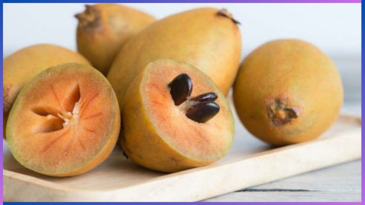 Sapota Fruit Benefits: ಈ ಹಣ್ಣಿಗೆ ಕ್ಯಾನ್ಸರ್​​ ತಡೆಯುವ ಶಕ್ತಿ ಇದೆ