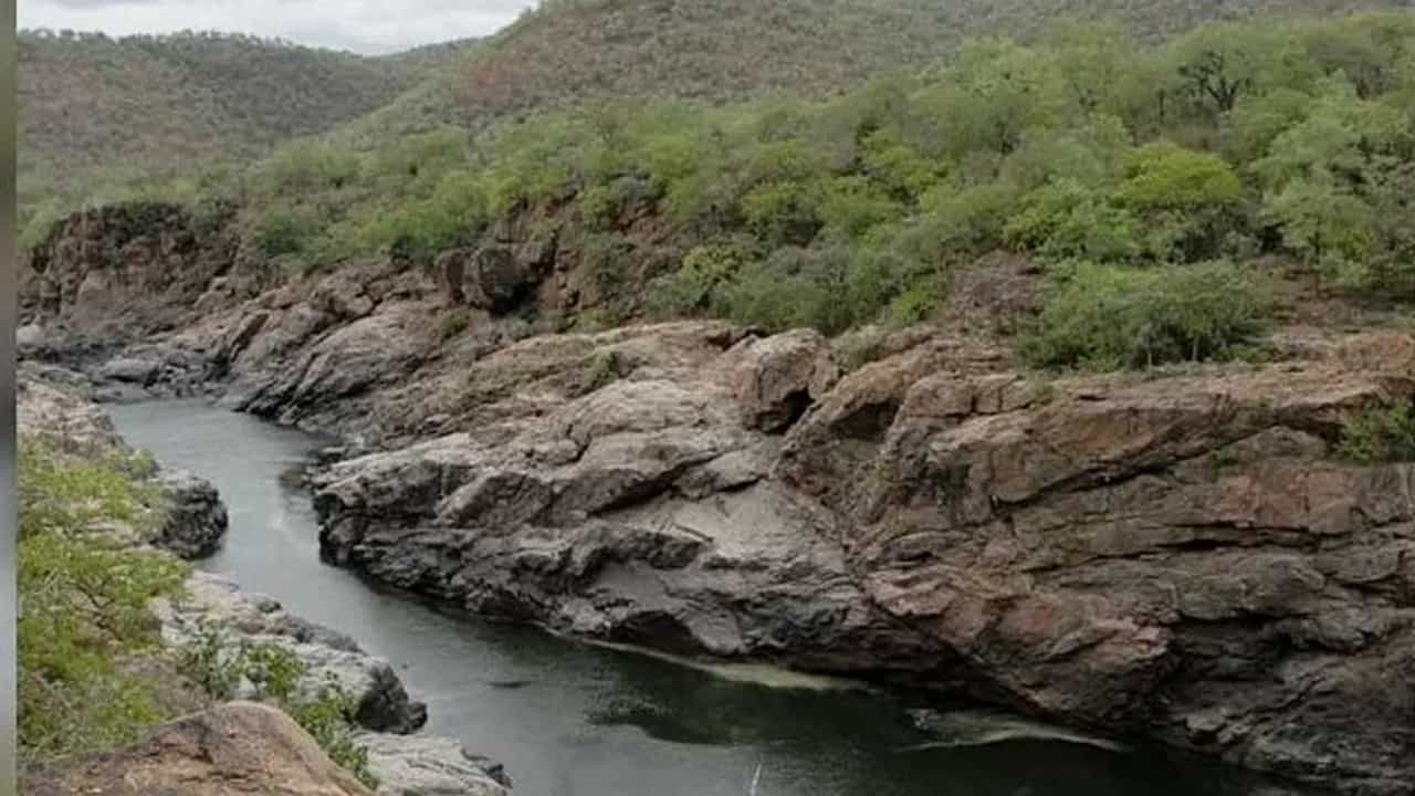 Mekedatu Project: ಮೇಕೆದಾಟು ಯೋಜನೆ ಪರಿಶೀಲಿಸುವಂತೆ ಕೇಂದ್ರ ಪರಿಸರ ಸಚಿವಾಲಯಕ್ಕೆ ಮತ್ತೆ ಅರ್ಜಿ ಸಲ್ಲಿಸಿದ ಕರ್ನಾಟಕ Mekedatu Project: ಮೇಕೆದಾಟು ಯೋಜನೆ ಪರಿಶೀಲಿಸುವಂತೆ ಕೇಂದ್ರ ಪರಿಸರ ಸಚಿವಾಲಯಕ್ಕೆ ಮತ್ತೆ ಅರ್ಜಿ ಸಲ್ಲಿಸಿದ ಕರ್ನಾಟಕ