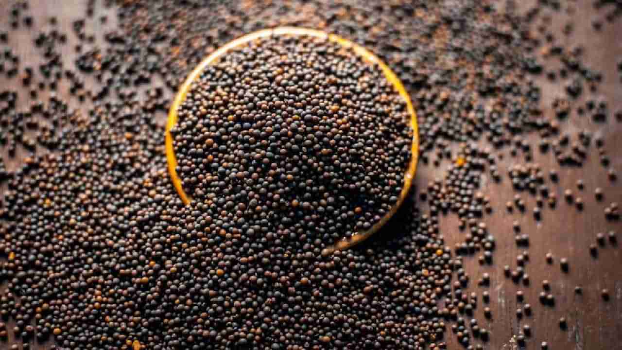 Mustard Seeds: ಸಾಸಿವೆಯ ಆರೋಗ್ಯ ಪ್ರಯೋಜನ ತಿಳಿದರೆ ಪ್ರತಿದಿನ ಸೇವನೆ ಮಾಡುತ್ತೀರಿ