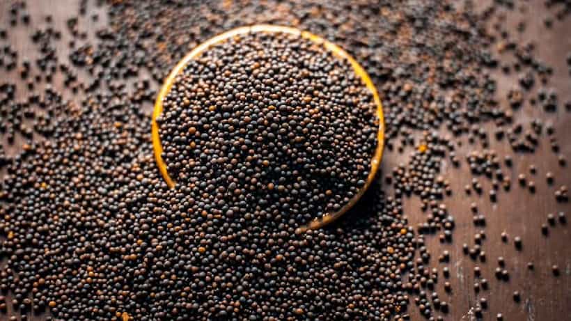 Mustard Seeds: ಸಾಸಿವೆಯ ಆರೋಗ್ಯ ಪ್ರಯೋಜನ ತಿಳಿದರೆ ಪ್ರತಿದಿನ ಸೇವನೆ ಮಾಡುತ್ತೀರಿ