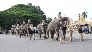 ಜೊಮಾಟೊದಲ್ಲಿ ಹೊಸ ಫೀಚರ್; ಆರ್ಡರ್ ಶೆಡ್ಯೂಲ್ ಮಾಡಿ; ಎರಡು ದಿನದವರೆಗೆ ಅವಕಾಶ