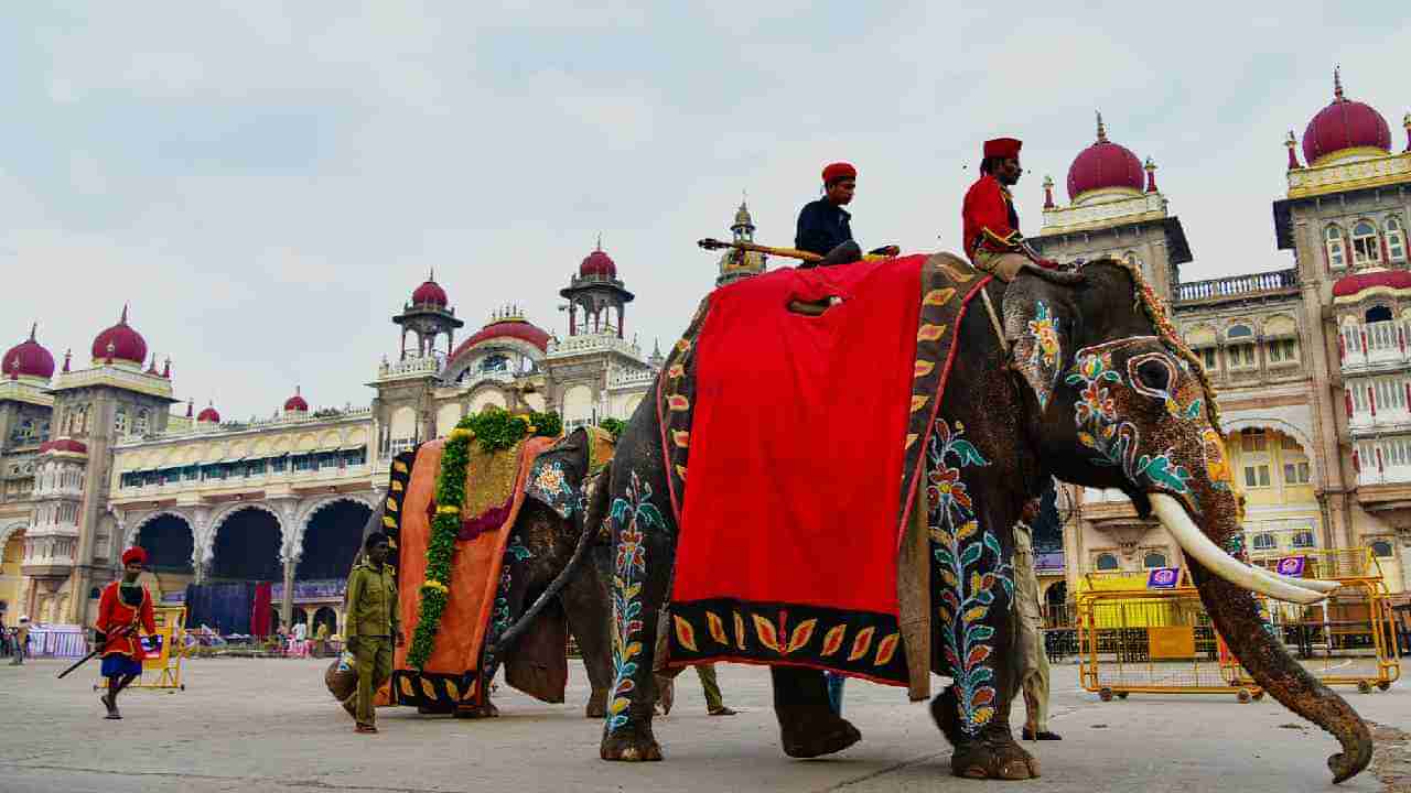 ಮೈಸೂರು ದಸರಾ ಮಹೋತ್ಸವಕ್ಕೆ ಅರಣ್ಯ ಇಲಾಖೆ ಸಿದ್ಧತೆ; 2 ತಿಂಗಳ ಮುಂಚಿತವಾಗಿ ಮೈಸೂರಿಗೆ ಆಗಮಿಸಲಿದೆ ಗಜಪಡೆ