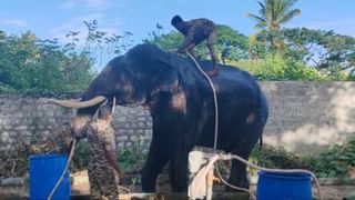 ಮುಡಾ ಹಗರಣ: ಪತ್ನಿ ಪತ್ರ ಬರೆದಿದ್ದು ಗೊತ್ತಿದ್ದೂ ಗೊತ್ತಿಲ್ಲವೆಂದು ರಾಜ್ಯಪಾಲರಿಗೆ ಉತ್ತರಿಸಿದ ಸಿದ್ದರಾಮಯ್ಯ