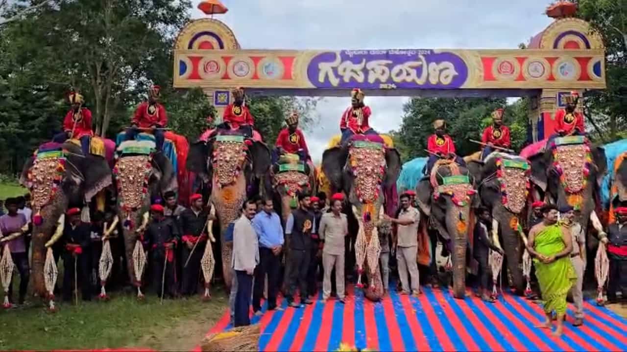 ಮೊದಲ ಹಂತದಲ್ಲಿ ಅಭಿಮನ್ಯು ನೇತೃತ್ವದ 9 ಆನೆಗಳು ಆಗಮಿಸಿವೆ. ಕ್ಯಾಪ್ಟನ್ ಅಭಿಮನ್ಯು, ಭೀಮ, ಗೋಪಿ, ಧನಂಜಯ, ಕಂಜನ್, ರೋಹಿತ್, ಲಕ್ಷ್ಮೀ, ವರಲಕ್ಷ್ಮೀ, ಏಕಲವ್ಯ ಆನೆಗಳು ಆಗಮಿಸಿವೆ.