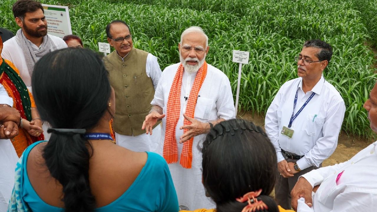 ಕ್ಷೇತ್ರ ಬೆಳೆಗಳಲ್ಲಿ ರಾಗಿ, ಮೇವು ಬೆಳೆಗಳು, ಎಣ್ಣೆಕಾಳುಗಳು, ದ್ವಿದಳ ಧಾನ್ಯಗಳು, ಕಬ್ಬು, ಹತ್ತಿ, ನಾರು ಮತ್ತು ಇತರ ಸಂಭಾವ್ಯ ಬೆಳೆಗಳು ಸೇರಿದಂತೆ ವಿವಿಧ ಧಾನ್ಯಗಳ ಬೀಜಗಳನ್ನು ಬಿಡುಗಡೆ ಮಾಡಲಾಯಿತು. 
