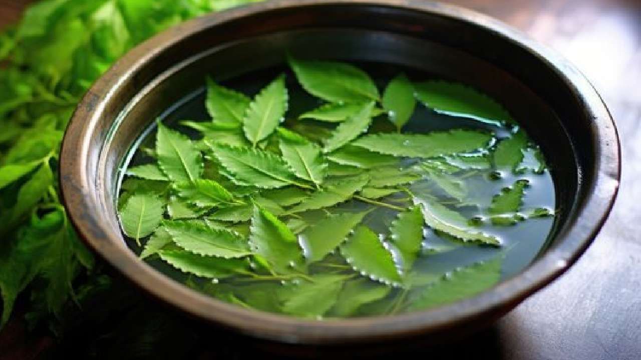 Neem Water Bath: ಸ್ನಾನದ ನೀರಿಗೆ ಬೇವಿನ ಸೊಪ್ಪು ಸೇರಿಸಿ; ತ್ವಚೆಗೆ ಹಲವು ಪ್ರಯೋಜನಗಳಿವೆ