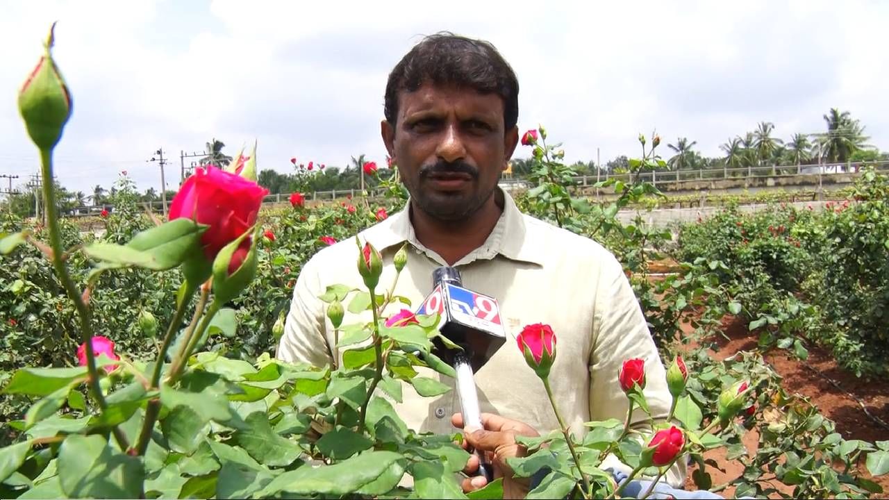 ರೈತರಿಗೆ ಲಾಭ ಸಿಗುವುದರ ಮೂಲಕ ವರಮಹಾಲಕ್ಷ್ಮಿ ಆಶೀರ್ವಾದ  ಮಾಡಿದ್ರೆ, ಇರುವ ಸ್ಥಿತಿಗತಿಯಲ್ಲಿ ವರಮಾಹಲಕ್ಷ್ಮಿ ಹಬ್ಬ ಮಾಡುವುದರ ಮೂಲಕ ವರಮಹಾಲಕ್ಷ್ಮಿ ಕೃಪೆಗೆ ಪಾತ್ರರಾಗುತ್ತಾರೆ ಹೆಂಗೆಳೆಯರು.
