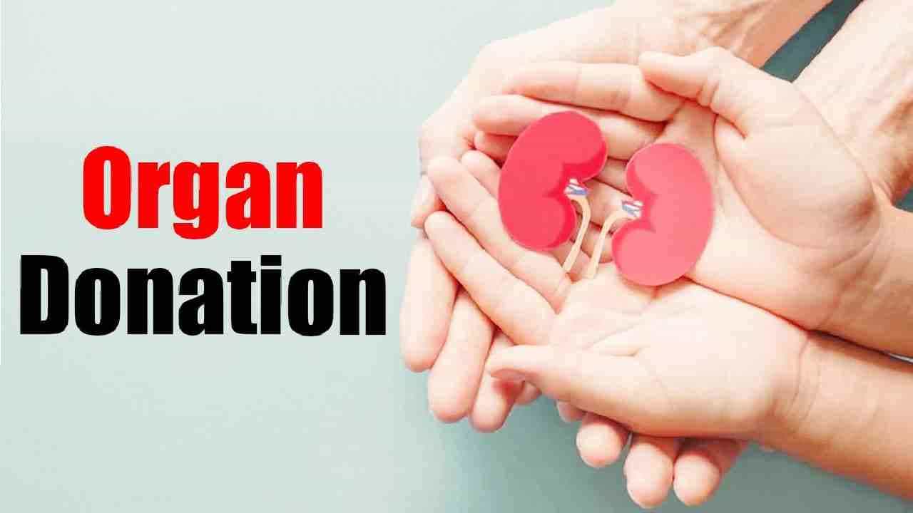 Organ Donation: ಅಂಗಾಂಗ ದಾನದಲ್ಲಿ ಕರ್ನಾಟಕಕ್ಕೆ ಎರಡನೇ ಸ್ಥಾನ Organ Donation: ಅಂಗಾಂಗ ದಾನದಲ್ಲಿ ಕರ್ನಾಟಕಕ್ಕೆ ಎರಡನೇ ಸ್ಥಾನ