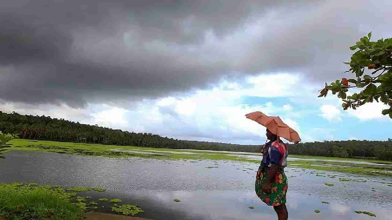 Karnataka Rains: ಕರ್ನಾಟಕದ ಬಹುತೇಕ ಜಿಲ್ಲೆಗಳಲ್ಲಿ ಮಳೆಯ ಅಬ್ಬರ ಕಡಿಮೆ, ಸಾಧಾರಣ ಮಳೆ