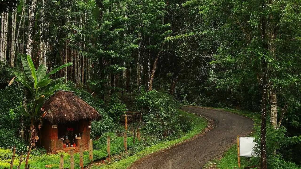 Karnataka Rains: ಕರ್ನಾಟಕದ ಈ ಜಿಲ್ಲೆಗಳಲ್ಲಿ ಆಗಸ್ಟ್​ 13ರವರೆಗೆ ಭಾರಿ ಮಳೆ