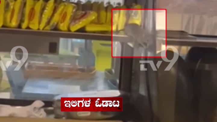 ಬೆಂಗಳೂರು: ಕೆಂಪೇಗೌಡ ವಿಮಾನ ನಿಲ್ದಾಣ ಕ್ಯಾಂಟೀನ್ ಆಹಾರದಲ್ಲಿ ಹುಳ ಪತ್ತೆ! ಬೆಂಗಳೂರು: ಕೆಂಪೇಗೌಡ ವಿಮಾನ ನಿಲ್ದಾಣ ಕ್ಯಾಂಟೀನ್ ಆಹಾರದಲ್ಲಿ ಹುಳ ಪತ್ತೆ!