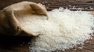 Karnataka Dam Water Level: ರಾಜ್ಯದ 14 ಜಲಾಶಯಗಳ ನೀರಿನ ಮಟ್ಟ ವಿವರ ಹೀಗಿದೆ