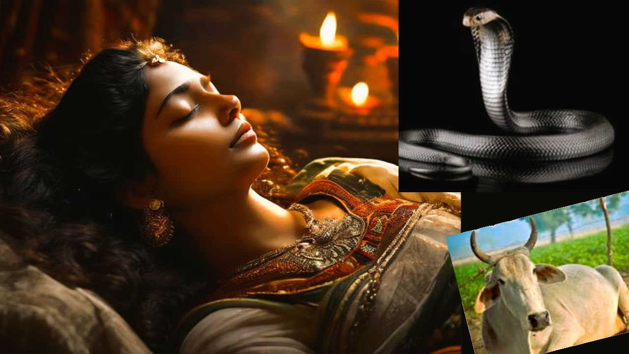 Animals in Dreams : ಸ್ವಪ್ನದಲ್ಲಿ ಈ ಪ್ರಾಣಿಗಳನ್ನು ಕಂಡರೆ ರಾಜಯೋಗ! ಅದೃಷ್ಟದ ಬಾಗಿಲು ತೆರೆದುಕೊಳ್ಳುತ್ತದೆ Animals in Dreams : ಸ್ವಪ್ನದಲ್ಲಿ ಈ ಪ್ರಾಣಿಗಳನ್ನು ಕಂಡರೆ ರಾಜಯೋಗ! ಅದೃಷ್ಟದ ಬಾಗಿಲು ತೆರೆದುಕೊಳ್ಳುತ್ತದೆ