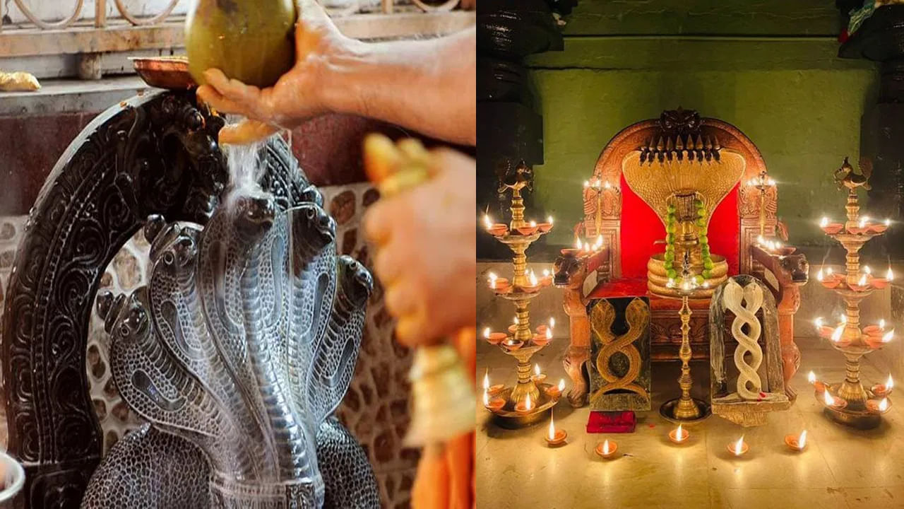 Nag Panchami 2024: ನೀವು ಪಿತೃ ದೋಷದಿಂದ ಬಳಲುತ್ತಿದ್ದೀರಾ.. ನಾಗ ಪಂಚಮಿಯ ದಿನ ಈ ಪರಿಹಾರಗಳನ್ನು ಮಾಡಿ Nag Panchami 2024: ನೀವು ಪಿತೃ ದೋಷದಿಂದ ಬಳಲುತ್ತಿದ್ದೀರಾ.. ನಾಗ ಪಂಚಮಿಯ ದಿನ ಈ ಪರಿಹಾರಗಳನ್ನು ಮಾಡಿ