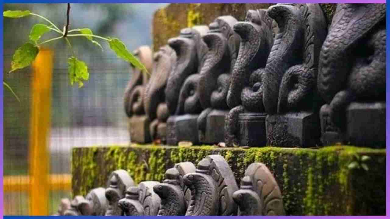 Naga Panchami: ನಾಗರ ಪಂಚಮಿ | ವಿಶೇಷತೆ ಏನು? ಏನು ಸಿಗುತ್ತದೆ ಈ ಹಬ್ಬದಿಂದ?