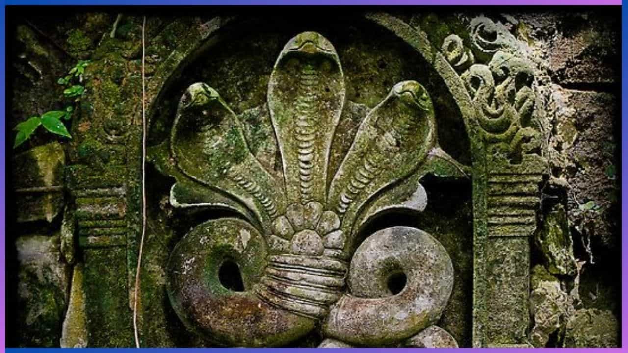 ಶ್ರಾವಣ ಮಾಸದ ಶುಕ್ಲ ಪಂಚಮಿಯಂದು ನಾಗ ಪಂಚಮಿಯನ್ನು ಆಚರಿಸಲಾಗುತ್ತದೆ. ಈ ವರ್ಷ ನಾಗಪಂಚಮಿ ಆಗಸ್ಟ್ 9 ರಂದು ಹಬ್ಬವು ಬಂದಿದ್ದು, ಈ ದಿನ ನಾಗರಾಜನನ್ನು ಪೂಜಿಸಿ, ಹುತ್ತಕ್ಕೆ ಹಾಲಿನ ಅಭಿಷೇಕ ಮಾಡಲಾಗುತ್ತದೆ. ಅದಲ್ಲದೇ ಈ ವಿಶೇಷ ದಿನದಂದು ಕುಟುಂಬ ಸದಸ್ಯರೊಂದಿಗೆ ನಾಗಕ್ಷೇತ್ರಗಳಿಗೆ ತೆರಳಿ ದೇವರ ಕೃಪೆಗೆ ಪಾತ್ರರಾಗಬಹುದು. ಈಗಾಗಲೇ ಕರ್ನಾಟಕದ ವಿವಿದೆಡೆ ಪ್ರಸಿದ್ಧ ಹತ್ತುಹಲವು ನಾಗಕ್ಷೇತ್ರಗಳಿದ್ದು ಕುಟುಂಬ ಸಮೇತ ಈ ದೇವಸ್ಥಾನಗಳಿಗೆ ತೆರಳಿ ಪೂಜೆ ಸಲ್ಲಿಸಬಹುದು.