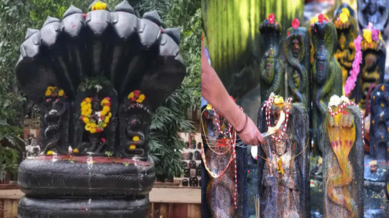 ನಾಗದೋಷದಿಂದ ಬಳಲುತ್ತಿದ್ದೀರಾ?! ನಾಗ ಪಂಚಮಿಯ ದಿನ ಈ ಮಂತ್ರಗಳಿಂದ ಪೂಜೆ ಮಾಡಿ ನಾಗದೋಷದಿಂದ ಬಳಲುತ್ತಿದ್ದೀರಾ?! ನಾಗ ಪಂಚಮಿಯ ದಿನ ಈ ಮಂತ್ರಗಳಿಂದ ಪೂಜೆ ಮಾಡಿ