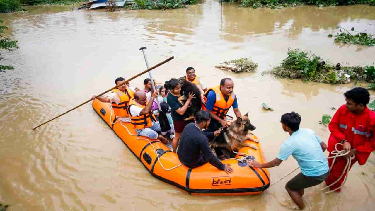 Tripura floods: ತ್ರಿಪುರಾದಲ್ಲಿ ಪ್ರವಾಹ; ಸಾವಿನ ಸಂಖ್ಯೆ 22ಕ್ಕೆ ಏರಿಕೆ, 65,000ಕ್ಕೂ ಹೆಚ್ಚು ಜನರ ಸ್ಥಳಾಂತರ