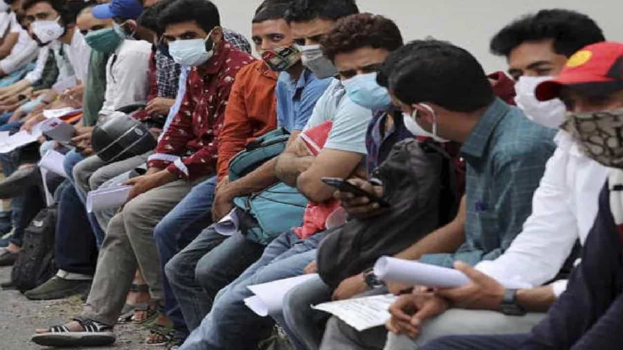 Global youth unemployment Rate: ಜಾಗತಿಕ ಯುವ ನಿರುದ್ಯೋಗ ದರವು 15 ವರ್ಷಗಳ ಅತ್ಯಂತ ಕಡಿಮೆ ಮಟ್ಟದಲ್ಲಿದೆ: ಯುಎನ್ ವರದಿ Global youth unemployment Rate: ಜಾಗತಿಕ ಯುವ ನಿರುದ್ಯೋಗ ದರವು 15 ವರ್ಷಗಳ ಅತ್ಯಂತ ಕಡಿಮೆ ಮಟ್ಟದಲ್ಲಿದೆ: ಯುಎನ್ ವರದಿ