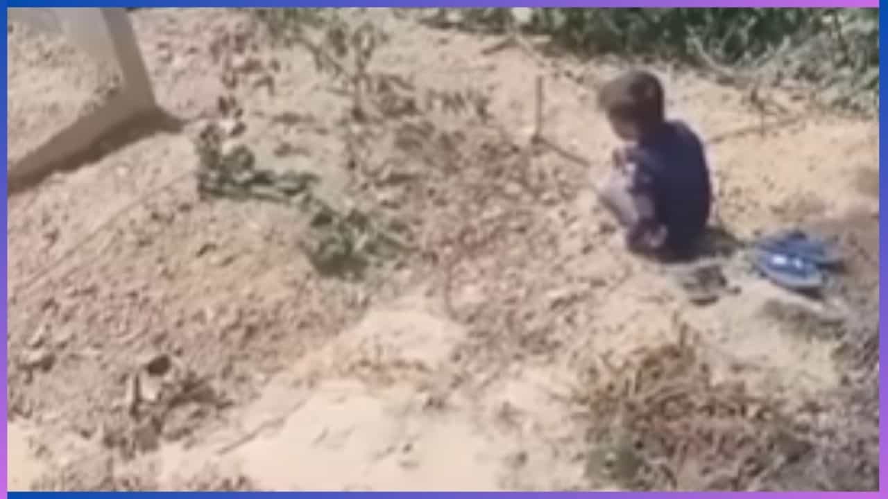 Video: ಅಮ್ಮಾ... ಓ ಅಮ್ಮಾ... ತಾಯಿ ಸಮಾಧಿ ಮುಂದೆ ಕರುಳ ಕುಡಿಯ ನೋವಿನ ಆಕ್ರಂದನ Video: ಅಮ್ಮಾ... ಓ ಅಮ್ಮಾ... ತಾಯಿ ಸಮಾಧಿ ಮುಂದೆ ಕರುಳ ಕುಡಿಯ ನೋವಿನ ಆಕ್ರಂದನ