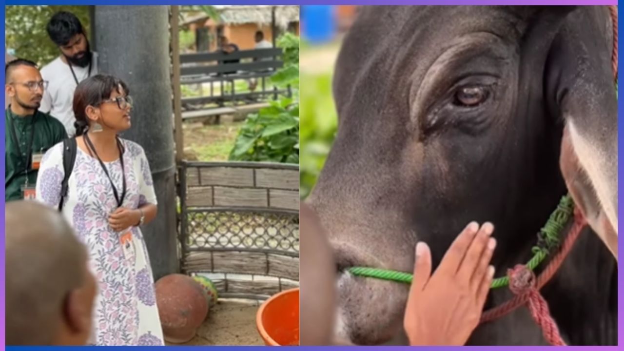 Video: ಸಂಗೀತದ ಶಕ್ತಿ ಎಂಥದ್ದು ನೋಡಿ.... ಯುವತಿಯ ಭಜನೆ ಹಾಡನ್ನು ಕೇಳಿ ಕಣ್ಣೀರು ಹಾಕಿದ ʼಐಕಾನಿಕ್ ಗೂಳಿʼ Video: ಸಂಗೀತದ ಶಕ್ತಿ ಎಂಥದ್ದು ನೋಡಿ.... ಯುವತಿಯ ಭಜನೆ ಹಾಡನ್ನು ಕೇಳಿ ಕಣ್ಣೀರು ಹಾಕಿದ ʼಐಕಾನಿಕ್ ಗೂಳಿʼ