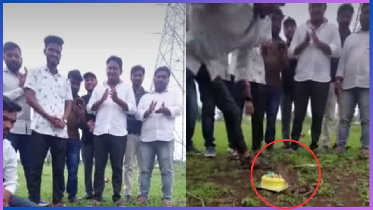 Video: ಭಯ-ಭಕ್ತಿ ಇಲ್ಲದ ಜನ... ನಾಗರ ಪಂಚಮಿಯಂದು ನಾಗರಾಜನ ಮುಂದೆ ಕೇಕ್‌ ಕಟ್ ಮಾಡಿ ಯುವಕರ ಹುಚ್ಚಾಟ