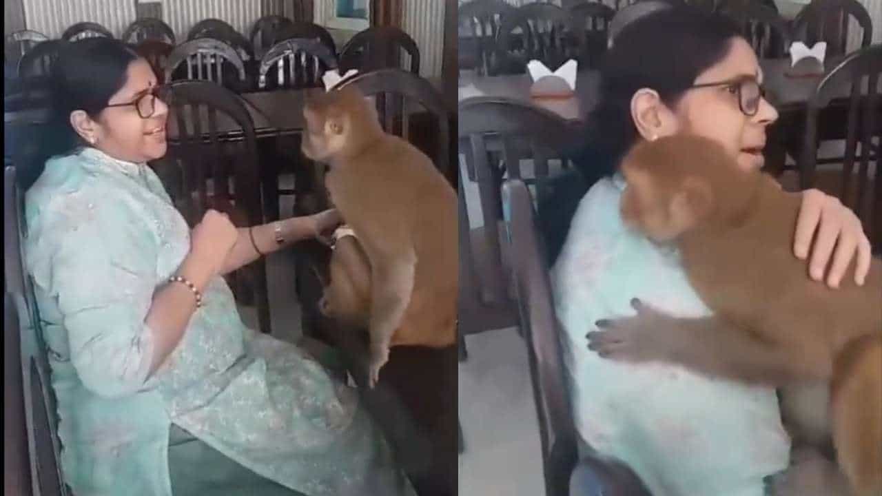Video Viral: ರಾಮ ನಾಮ ಹಾಡುತ್ತಿದ್ದಂತೆ ಮಹಿಳೆಯನ್ನು ತಬ್ಬಿಕೊಂಡ ಕೋತಿ Video Viral: ರಾಮ ನಾಮ ಹಾಡುತ್ತಿದ್ದಂತೆ ಮಹಿಳೆಯನ್ನು ತಬ್ಬಿಕೊಂಡ ಕೋತಿ