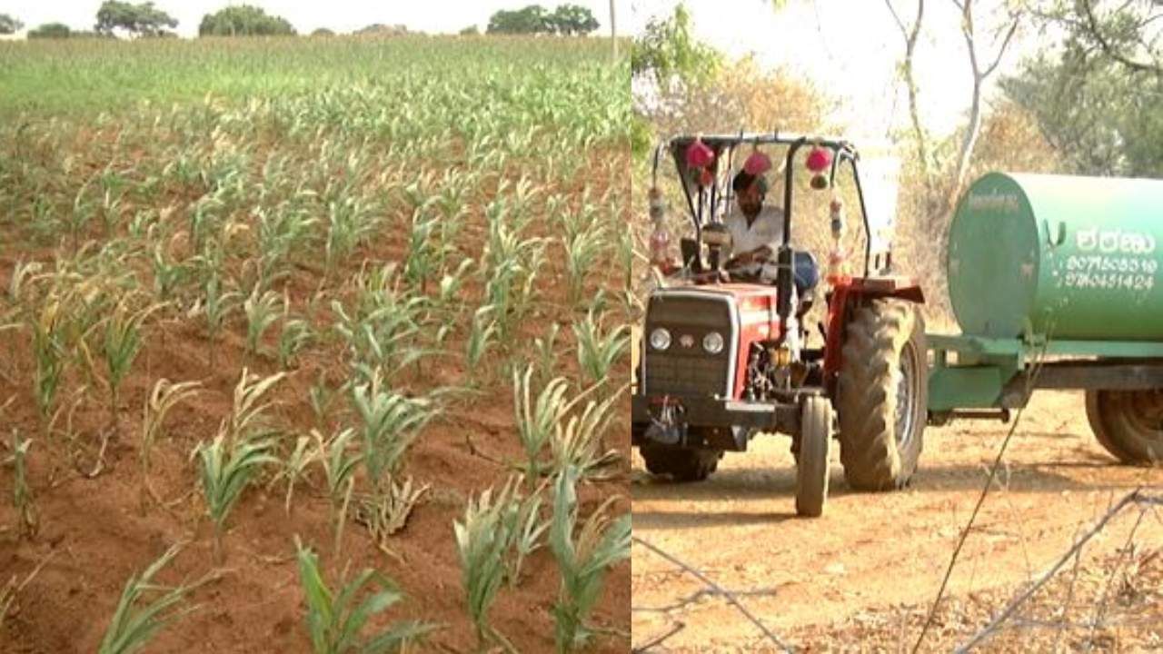 ಕೊಪ್ಪಳದಲ್ಲಿ ಕಳೆದ ವರ್ಷ ಬೇಸಿಗೆಯಲ್ಲಿ ಬೆಳೆ ಉಳಸಿಕೊಳ್ಳಲು ರೈತರು ಟ್ಯಾಂಕರ್ ನೀರಿನ ಮೊರೆ ಹೋಗಿದ್ದರು. ಆದರೆ ಮಳೆಗಾಲದಲ್ಲಿ ಈ ಬಾರಿ ನೀರಿನ ಸಮಸ್ಯೆಯಾಗುವುದಿಲ್ಲ ಉತ್ತಮ ಮಳೆ ಬರುತ್ತೆ ಅಂತ ಅಂದುಕೊಂಡಿದ್ದ ರೈತರಿಗೆ ಶಾಕ್ ಆಗಿದೆ. ಮಳೆಗಾದಲ್ಲಿ ಕೂಡ ರೈತರು ತಮ್ಮ ಬೆಳೆ ಉಳಸಿಕೊಳ್ಳಲು ಟ್ಯಾಂಕರ್ ನೀರಿನ ಮೊರೆ ಹೋಗುವಂತಹ ಸ್ಥಿತಿ ನಿರ್ಮಾಣವಾಗಿದೆ. ಮಳೆ ಕೊರತೆಯಿಂದ ಒಂದಡೆ ಬೆಳೆ ಒಣಗುತ್ತಿದ್ದರೆ, ರೈತರು ಬೆಳೆ ಉಳಸಿಕೊಳ್ಳಲು ಪರದಾಡುತ್ತಿದ್ದಾರೆ.