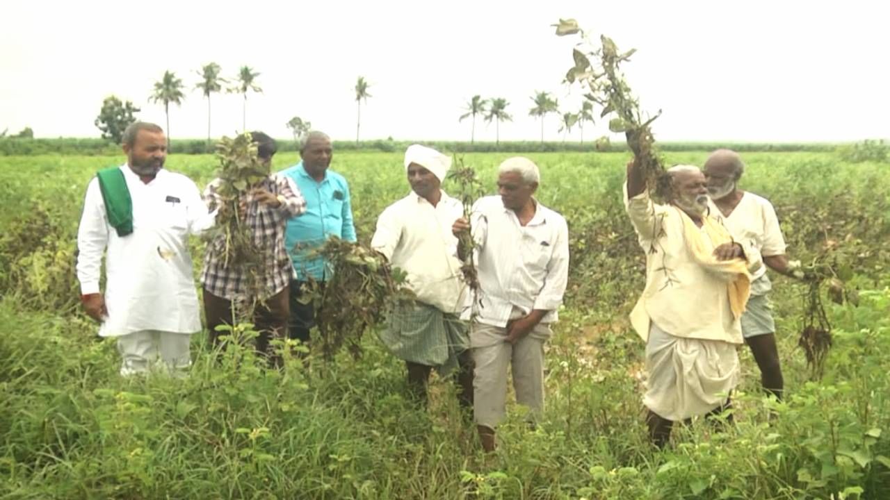 ಬೀದರ್​ ಜಿಲ್ಲೆಯಲ್ಲಿ ವಾರದ ಹಿಂದೆ ಸುರಿದ ಮಳೆಯಿಂದಾಗಿ 500 ಹೆಕ್ಟರ್​ಗೂ ಅಧಿಕ ಪ್ರದೇಶದಲ್ಲಿ ಬಿತ್ತನೆ ಮಾಡಿದ ಹುಲುಸಾಗಿ ಬೆಳೆದ ಉದ್ದು, ಸೋಯಾ, ಹೆಸರು ಬೆಳೆ ಹಾನಿಯಾಗಿದೆ. ಜೊತೆಗೆ ಜಿಲ್ಲೆಯ ವಿವಿಧ ಗ್ರಾಮದಲ್ಲಿ ಸುಮಾರು 360 ಮನೆಗಳು ಬಾಗಶಃ ಕುಸಿದಿದ್ದು, ಮನೆ ಕಳೆದುಕೊಂಡವರನ್ನ ಕಂಗಾಲು ಮಾಡಿದೆ.
