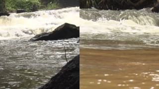 ಮೋದಕ ಪ್ರಿಯ ಗಣೇಶನಿಗೆ ಮಾಂಸದ ನೈವೇದ್ಯ: ಗದಗಿನಲ್ಲಿ ವಿಶಿಷ್ಟ ಆಚರಣೆ