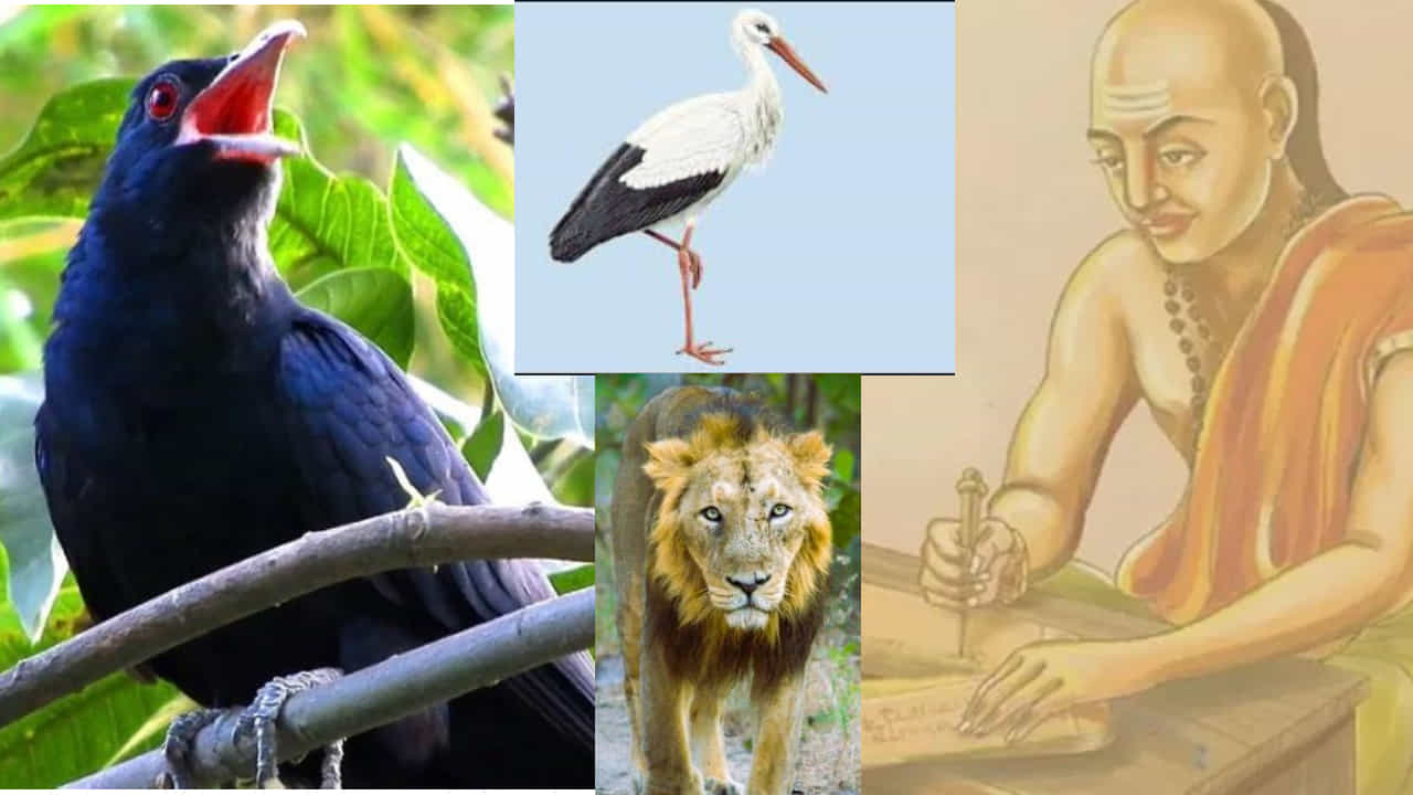 ಜೀವನವೇ ಒಂದು ತತ್ವಶಾಸ್ತ್ರ. ಪ್ರತಿಯೊಬ್ಬ ವ್ಯಕ್ತಿಯು ಜೀವನವನ್ನು ವಿಭಿನ್ನ ರೀತಿಯಲ್ಲಿ ನೋಡುತ್ತಾನೆ. ಜೀವಿಸುತ್ತಾನೆ. ಬದುಕಲು ಹಲವು ಮಾರ್ಗಗಳಿವೆ. ಇದಮಿತ್ಥಂ ಎಂದು ಜೀವನ ಸಾಗುವುದಿಲ್ಲ. ಜೀವನಕ್ಕಾಗಿ ಒಂದೇ ವಿಧಾನ ಎಂದೇನೂ ನಿರ್ಧರಿಸಲಾಗುವುದಿಲ್ಲ. ಆದರೆ ಹಿರಿಯರು, ಬುದ್ಧಿಜೀವಿಗಳು ಮತ್ತು ತತ್ವಜ್ಞಾನಿಗಳು ಜೀವನವನ್ನು ಸುಲಭಗೊಳಿಸಲು ಹಲವು ಮಾರ್ಗಗಳನ್ನು ಹೇಳಿದ್ದಾರೆ. ಮನುಷ್ಯ ತಪ್ಪು ಮಾಡುವುದು ಸಹಜ. ತಪ್ಪು ಮಾಡದೆ ಜೀವನದಲ್ಲಿ ಯಾರೂ ಪರಿಪೂರ್ಣರಾಗಲು ಸಾಧ್ಯವಿಲ್ಲ ಎಂದು ಹೇಳಲಾಗುತ್ತದೆ. ಆದರೆ ಮಾಡಿದ ತಪ್ಪುಗಳಿಂದ ಪಾಠಗಳನ್ನು ಕಲಿಯುವ ಮೂಲಕ ನಿಮ್ಮನ್ನು ನೀವು ಸುಧಾರಿಸಿಕೊಳ್ಳಬಹುದು. ಆಚಾರ್ಯ ಚಾಣಕ್ಯ ಈ 4 ಪ್ರಾಣಿ, ಪಕ್ಷಿಗಳ ರೂಪದಲ್ಲಿ ಜೀವನಕ್ಕೆ ಸಂಬಂಧಿಸಿದ ಪ್ರಮುಖ ಪಾಠಗಳನ್ನು ನೀಡಿದರು. ನಾಯಿ, ಸಿಂಹ, ಕೋಗಿಲೆ ಮತ್ತು ಕಾಂಗ್ಗಳಿಂದ ಒಬ್ಬರ ಜೀವನದಲ್ಲಿ ಅನೇಕ ವಿಷಯಗಳನ್ನು ಕಲಿಯಬಹುದು ಎಂದು ಹೇಳಲಾಗುತ್ತದೆ.