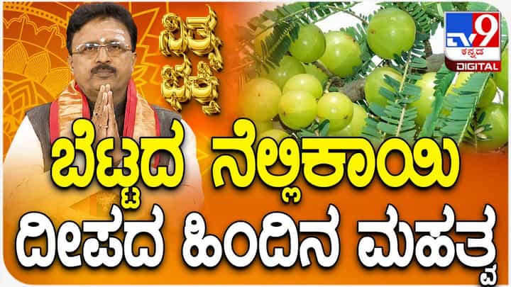 Daily Devotional: ಬೆಟ್ಟದ ನೆಲ್ಲಿಕಾಯಿ ದೀಪದ ಹಿಂದಿನ ಮಹತ್ವ ತಿಳಿಯಿರಿ Daily Devotional: ಬೆಟ್ಟದ ನೆಲ್ಲಿಕಾಯಿ ದೀಪದ ಹಿಂದಿನ ಮಹತ್ವ ತಿಳಿಯಿರಿ
