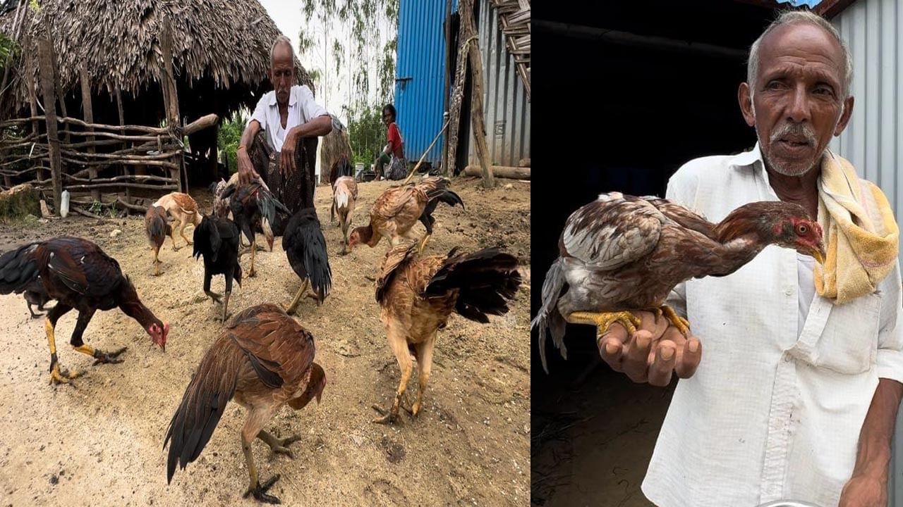 ಇವರು ಹೆಸರು ಕರೆದ ಕೂಡಲೆ ಕೋಳಿಗಳು ಓಡಿಬರುತ್ತವೆ!