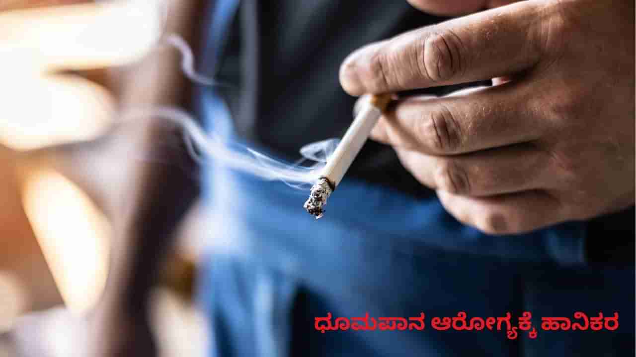 ಬೆಂಗಳೂರು: ಸಿಗರೇಟ್, ಬೀಡಿ ತುಂಡುಗಳಿಗೆ ಪ್ರತ್ಯೇಕ ಡಸ್ಟ್ ಬಿನ್ ಅಳವಡಿಕೆಗೆ ಮುಂದಾದ ಬಿಬಿಎಂಪಿ