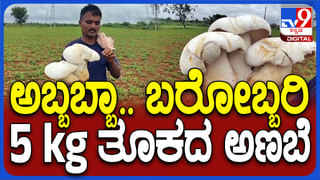 ಕಿಚ್ಚ ಸುದೀಪ್​ ಹುಟ್ಟುಹಬ್ಬದ ಸೆಲೆಬ್ರೇಷನ್​ಗೆ ಭರ್ಜರಿಯಾಗಿ ನಡೆದಿದೆ ಫ್ಯಾನ್ಸ್ ತಯಾರಿ