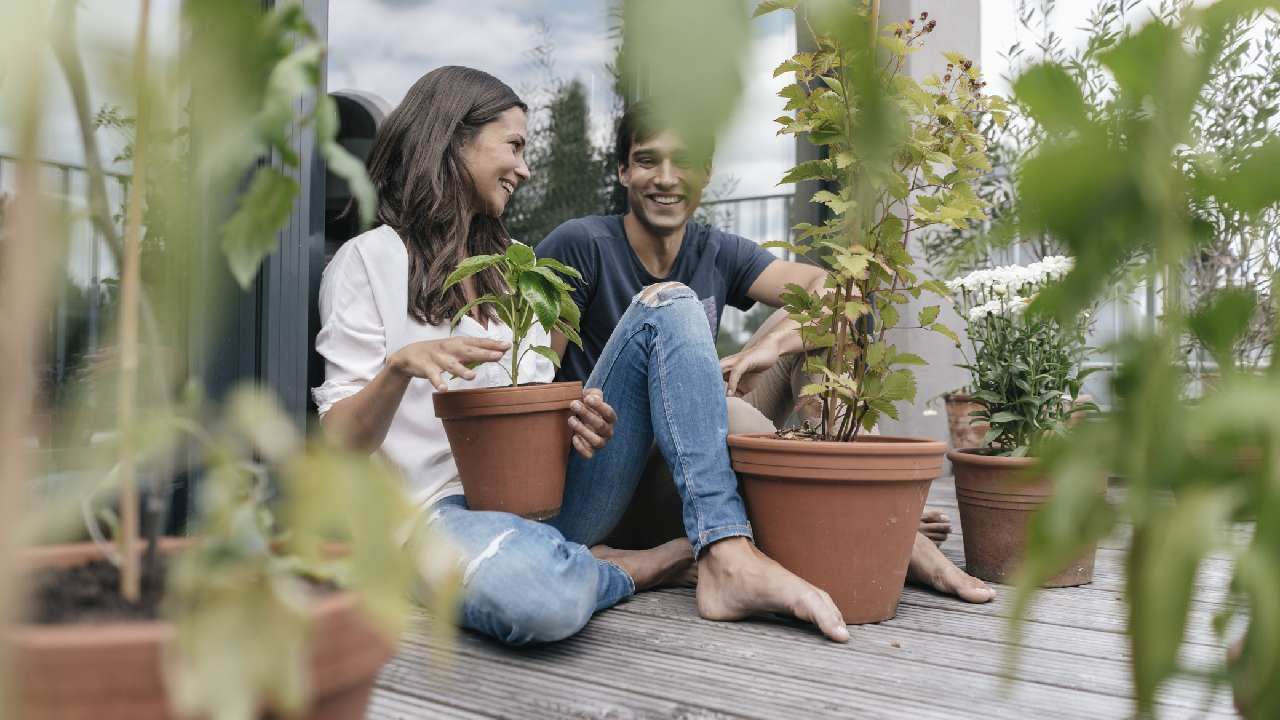 ಮದುವೆಯಾಗುವ ಮೊದಲು ದಂಪತಿಗಳು ಆದಾಯ, ಸಾಲ, ಉಳಿತಾಯ ಮತ್ತು ಖರ್ಚು ಮಾಡುವ ಅಭ್ಯಾಸಗಳು ಸೇರಿದಂತೆ ತಮ್ಮ ಹಣಕಾಸಿನ ಪರಿಸ್ಥಿತಿಗಳ ಬಗ್ಗೆ ಮಾತನಾಡಬೇಕು. ಹಣವನ್ನು ಹೇಗೆ ನಿರ್ವಹಿಸಲಾಗುತ್ತದೆ, ಖಾತೆಗಳು ಜಂಟಿಯಾಗಿ ಅಥವಾ ಪ್ರತ್ಯೇಕವಾಗಿರುತ್ತವೆ ಮತ್ತು ಭವಿಷ್ಯದ ವೆಚ್ಚ ಬಗ್ಗೆ ಮೊದಲು ಚರ್ಚಿಸಿಕೊಳ್ಳುವುದು ಅಗತ್ಯ. 