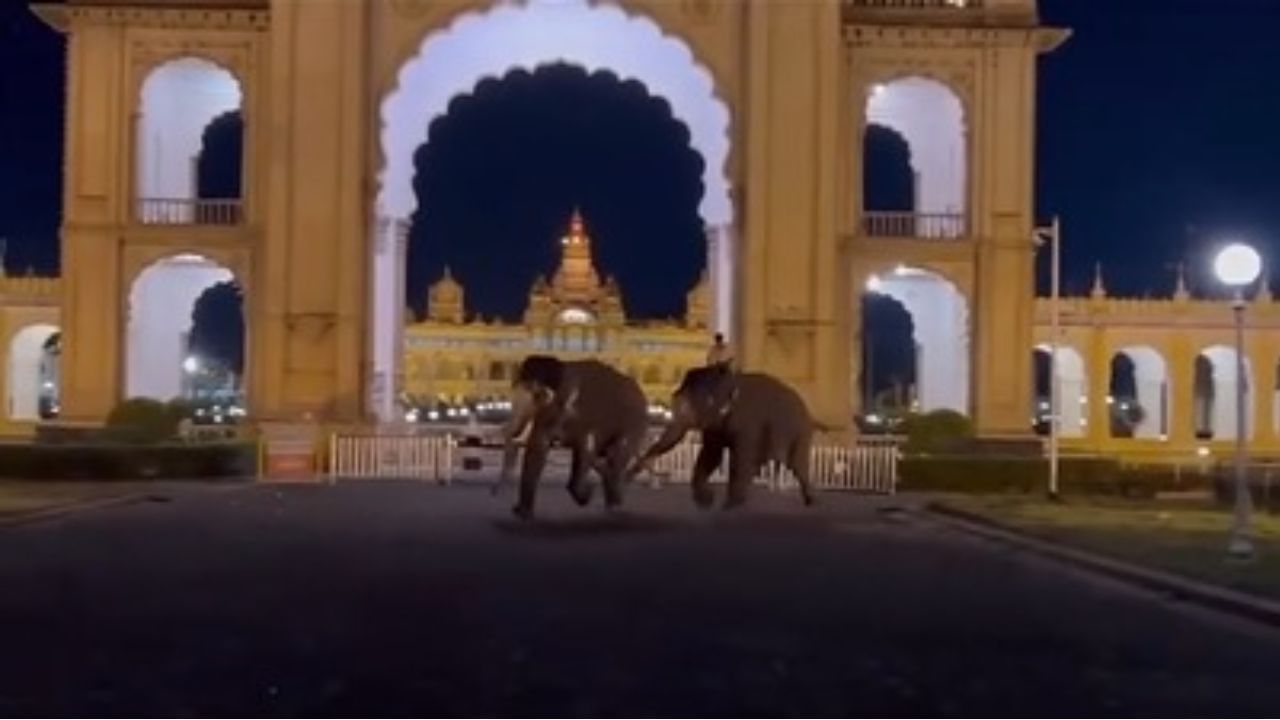 ಮೈಸೂರು ಅರಮನೆ ಆವರಣದಲ್ಲಿ ಗಜ ಗಲಾಟೆ: ನಿಜಕ್ಕೂ ನಡೆದಿದ್ದೇನು? ಇಲ್ಲಿದೆ ಸ್ವಾರಸ್ಯಕರ ಮಾಹಿತಿ ಮೈಸೂರು ಅರಮನೆ ಆವರಣದಲ್ಲಿ ಗಜ ಗಲಾಟೆ: ನಿಜಕ್ಕೂ ನಡೆದಿದ್ದೇನು? ಇಲ್ಲಿದೆ ಸ್ವಾರಸ್ಯಕರ ಮಾಹಿತಿ