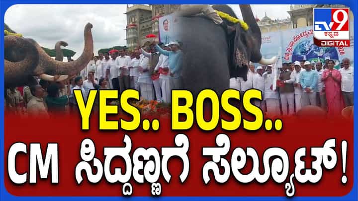 ಅರಮನೆ ಆವರಣದಲ್ಲಿ ಸಿದ್ದುಗೆ ದಸರಾ ಆನೆಗಳು ಸೆಲ್ಯೂಟ್; ವಿಡಿಯೋ ನೋಡಿ ಅರಮನೆ ಆವರಣದಲ್ಲಿ ಸಿದ್ದುಗೆ ದಸರಾ ಆನೆಗಳು ಸೆಲ್ಯೂಟ್; ವಿಡಿಯೋ ನೋಡಿ