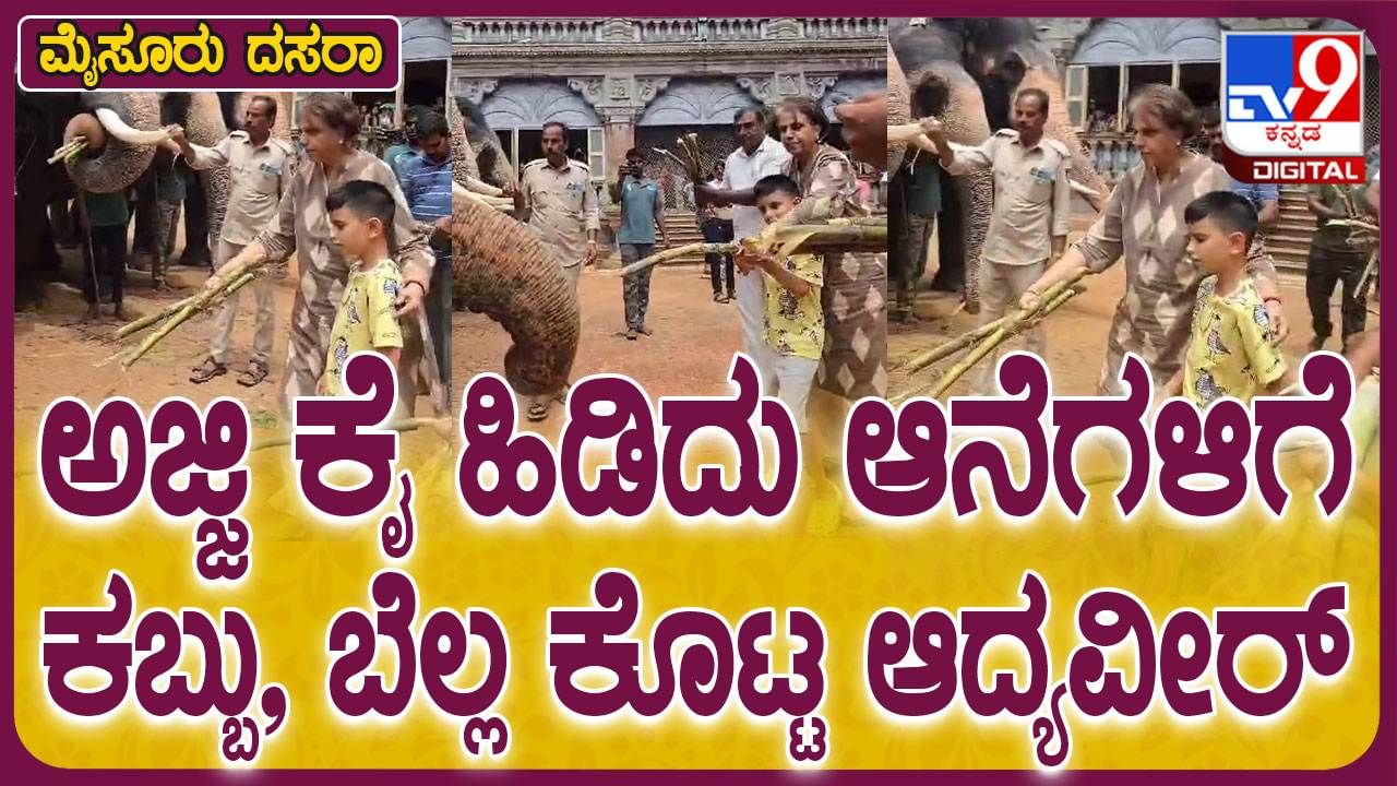 Mysuru Dasara: ಅಜ್ಜಿ ಜೊತೆ ದಸರಾ ಆನೆಗಳಿಗೆ ಕಬ್ಬು, ಬೆಲ್ಲ ತಿನ್ನಿಸಿದ ಆದ್ಯವೀರ ಒಡೆಯರ್‌