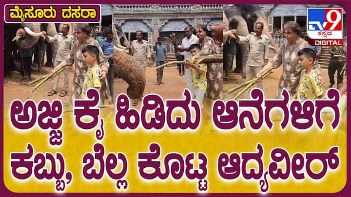 Mysuru Dasara: ಅಜ್ಜಿ ಜೊತೆ ದಸರಾ ಆನೆಗಳಿಗೆ ಕಬ್ಬು, ಬೆಲ್ಲ ತಿನ್ನಿಸಿದ ಆದ್ಯವೀರ ಒಡೆಯರ್ Mysuru Dasara: ಅಜ್ಜಿ ಜೊತೆ ದಸರಾ ಆನೆಗಳಿಗೆ ಕಬ್ಬು, ಬೆಲ್ಲ ತಿನ್ನಿಸಿದ ಆದ್ಯವೀರ ಒಡೆಯರ್