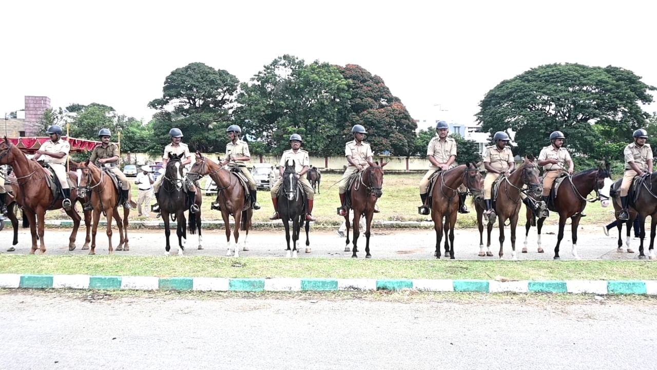 Mysuru Dasara 2024 Gajapade Talimu, elefantes e cavalos em treinamento de fogos de artifício, veja as fotos aqui