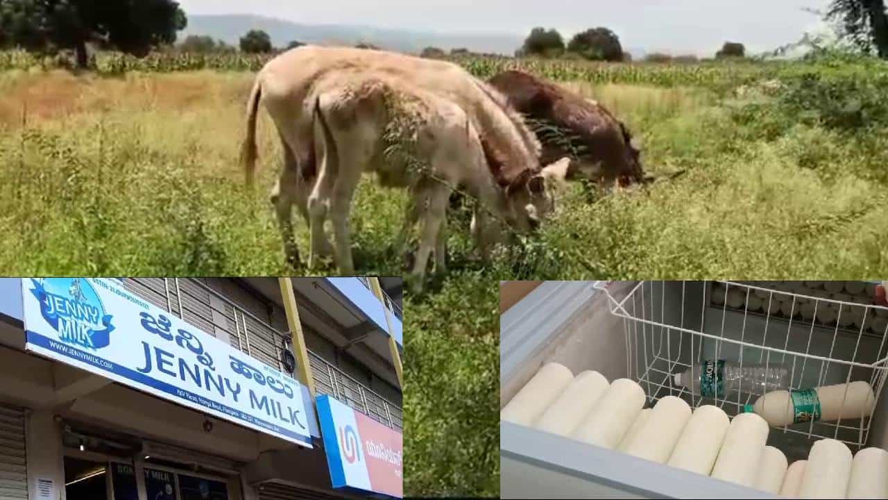 ನೂರಾರು ಕತ್ತೆ ಸೇಲ್ ಮಾಡಿ ಮೋಸ: ಪ್ರಕರಣ ಸಿಐಡಿ ಕೈಗೆ, ಆರೋಪಿಗಳ ಪತ್ತೆಗೆ ವಿಶೇಷ ತಂಡ ರಚನೆ ನೂರಾರು ಕತ್ತೆ ಸೇಲ್ ಮಾಡಿ ಮೋಸ: ಪ್ರಕರಣ ಸಿಐಡಿ ಕೈಗೆ, ಆರೋಪಿಗಳ ಪತ್ತೆಗೆ ವಿಶೇಷ ತಂಡ ರಚನೆ