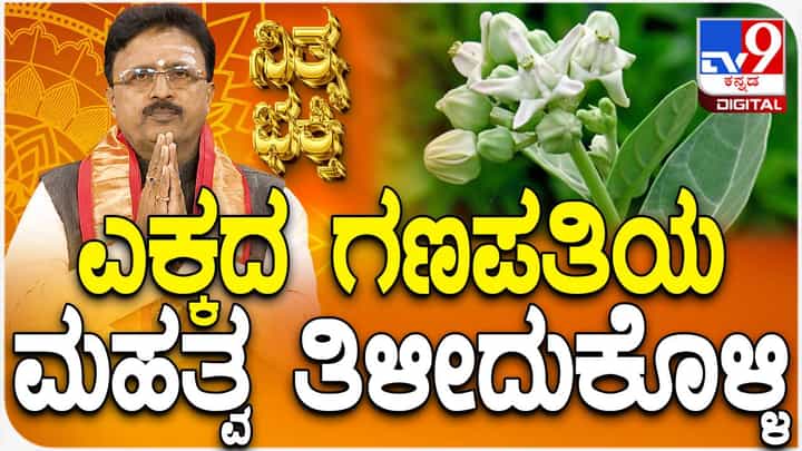 Daily Devotional: ಎಕ್ಕದ ಗಣಪತಿಯ ಮಹತ್ವ ತಿಳಿಯಿರಿ Daily Devotional: ಎಕ್ಕದ ಗಣಪತಿಯ ಮಹತ್ವ ತಿಳಿಯಿರಿ